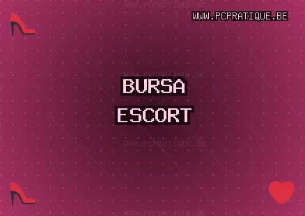 Bursa Escort: İnegöl Escort, Gürsu Escort, Gemlik Escort